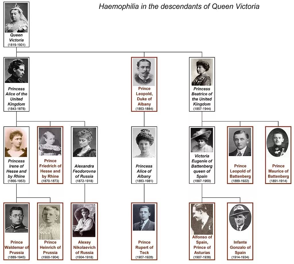 queen victoria hemophilia family tree