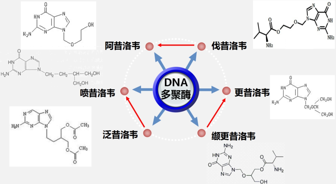 首页 新闻 唯你健康作为同一类药物,各个「xx 洛韦 的抗病毒谱基本